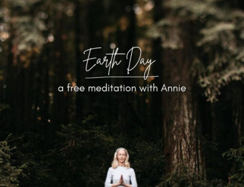Earth Day + free meditation